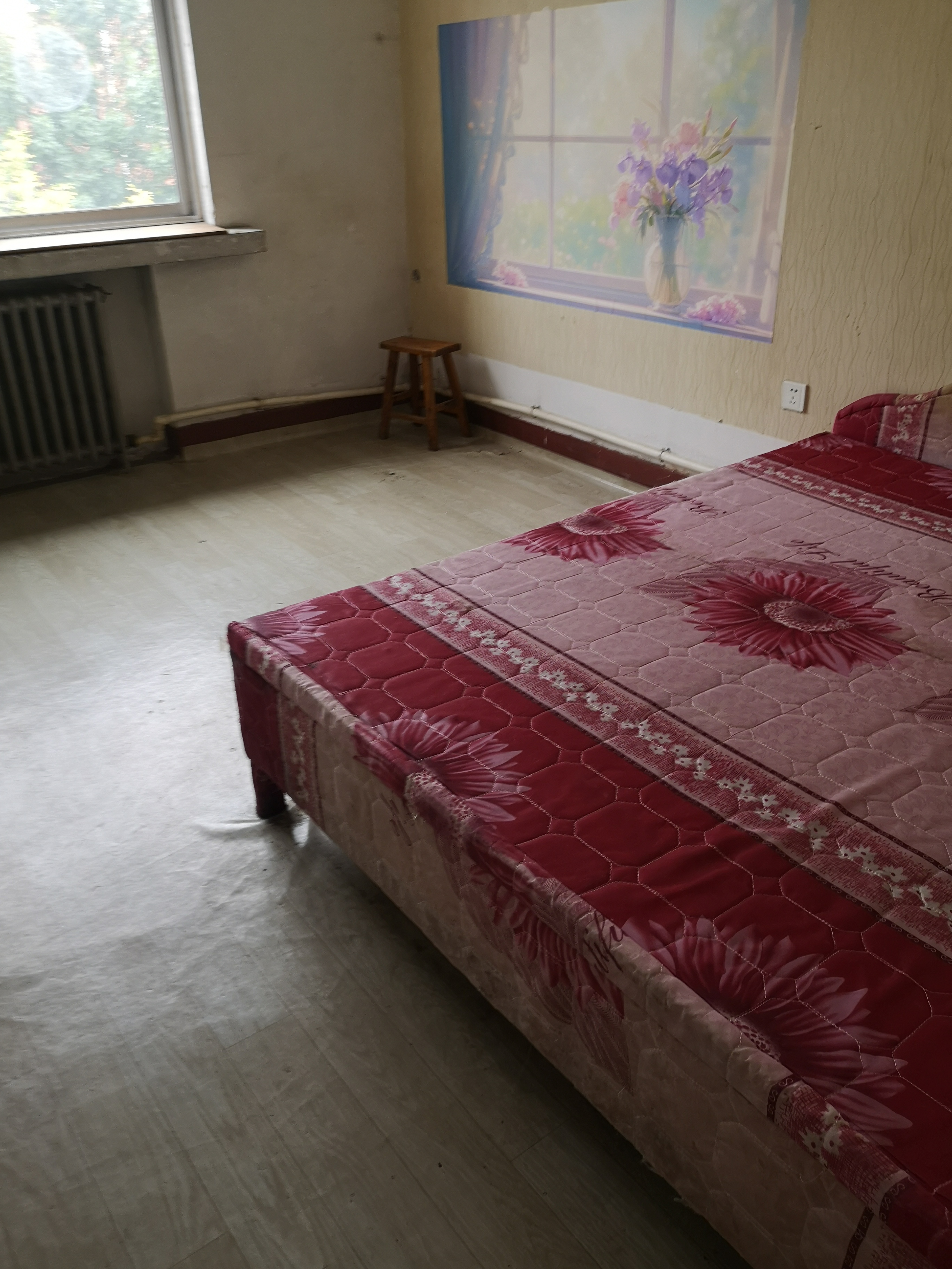 出租怡園小區2室1廳1衛65平米800元/月住宅