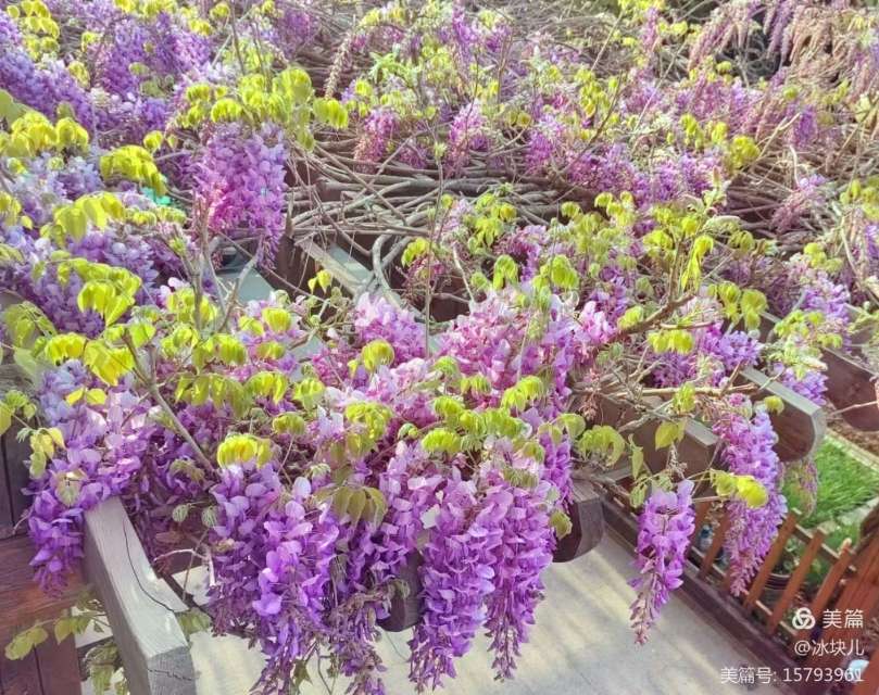 東營區郝純路勝花小區