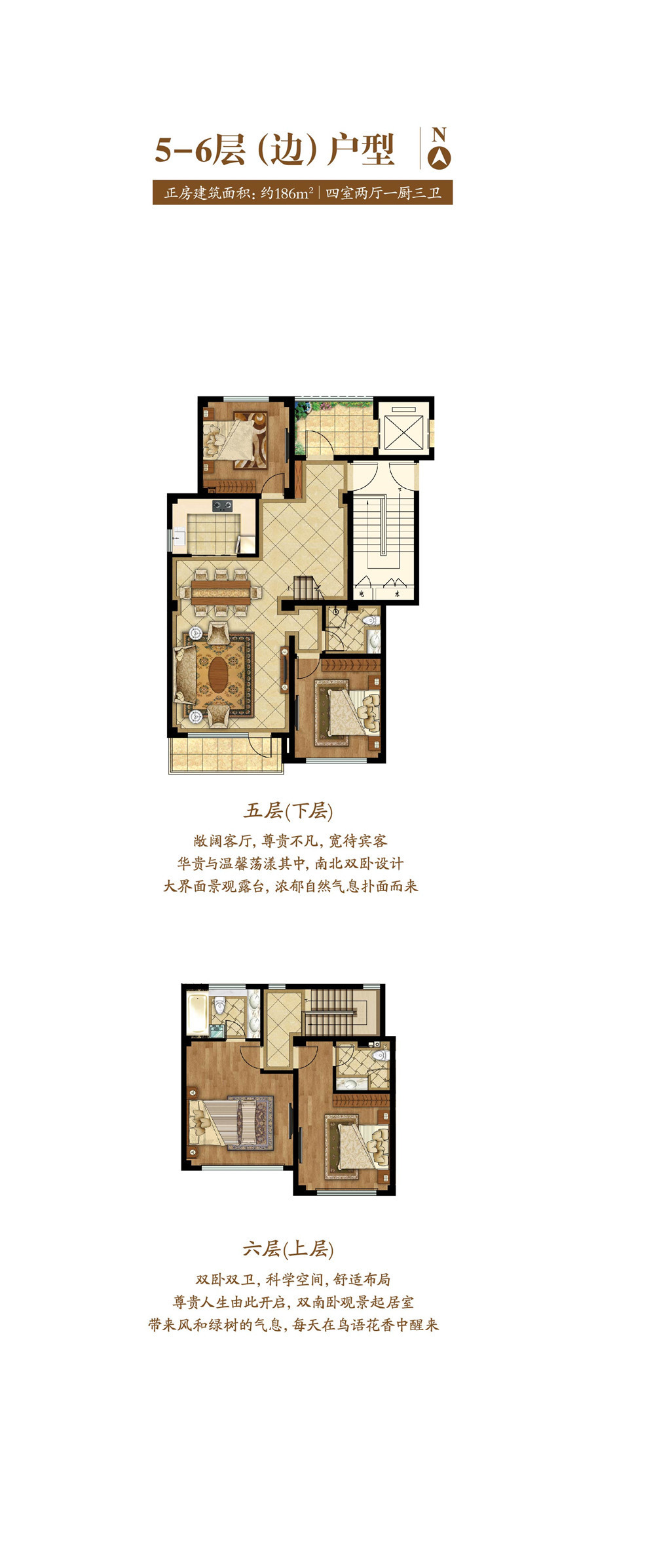叠拼别墅5-6层(边)户型 186㎡